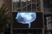 106-Berlin,6 aprile 2012